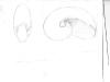 Sketches